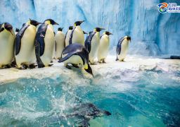 350p1f000001fwyjg872F_D_256_180.jpg 350p1f000001fwyjg872F_D_256_180.jpg