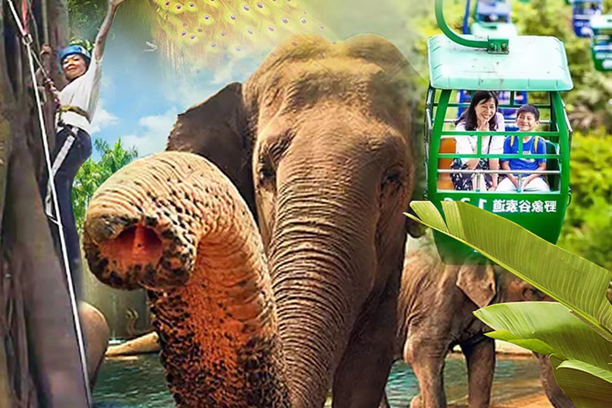 BF5F6E29-C950-4C8D-8B70-7259EBC8781A.jpeg BF5F6E29-C950-4C8D-8B70-7259EBC8781A.jpeg