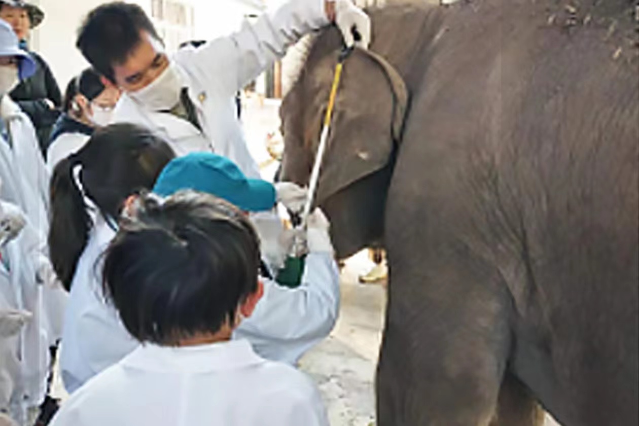 CC2B96CB-1C04-4EF1-9A78-C2171EA46F2A.jpeg CC2B96CB-1C04-4EF1-9A78-C2171EA46F2A.jpeg