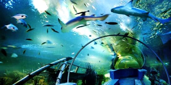 海洋馆2.jpg 海洋馆2.jpg