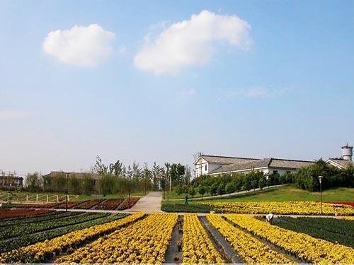 picimage (13).jpg picimage (13).jpg