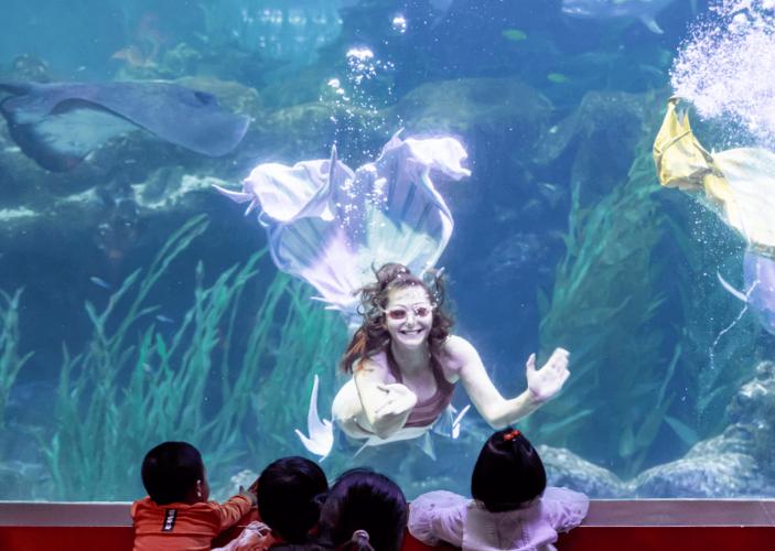 u_3383092195_437582546&fm_253&fmt_auto&app_138&f.jpeg u_3383092195_437582546&fm_253&fmt_auto&app_138&f.jpeg