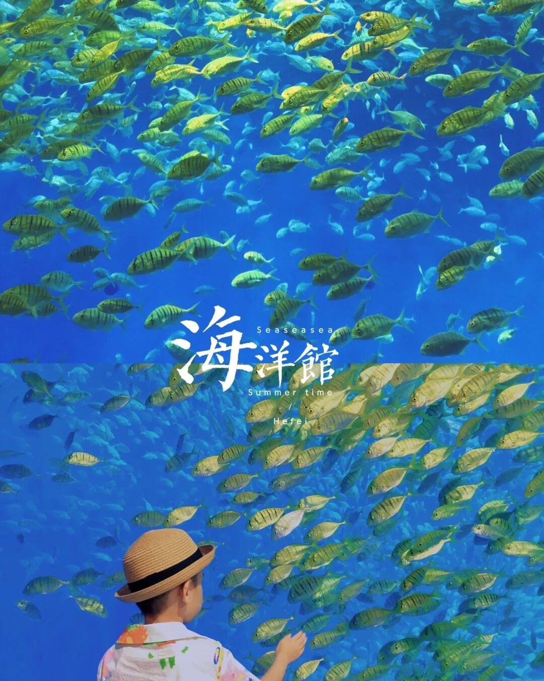 -48b0ac6890f1ee8d.jpg -48b0ac6890f1ee8d.jpg