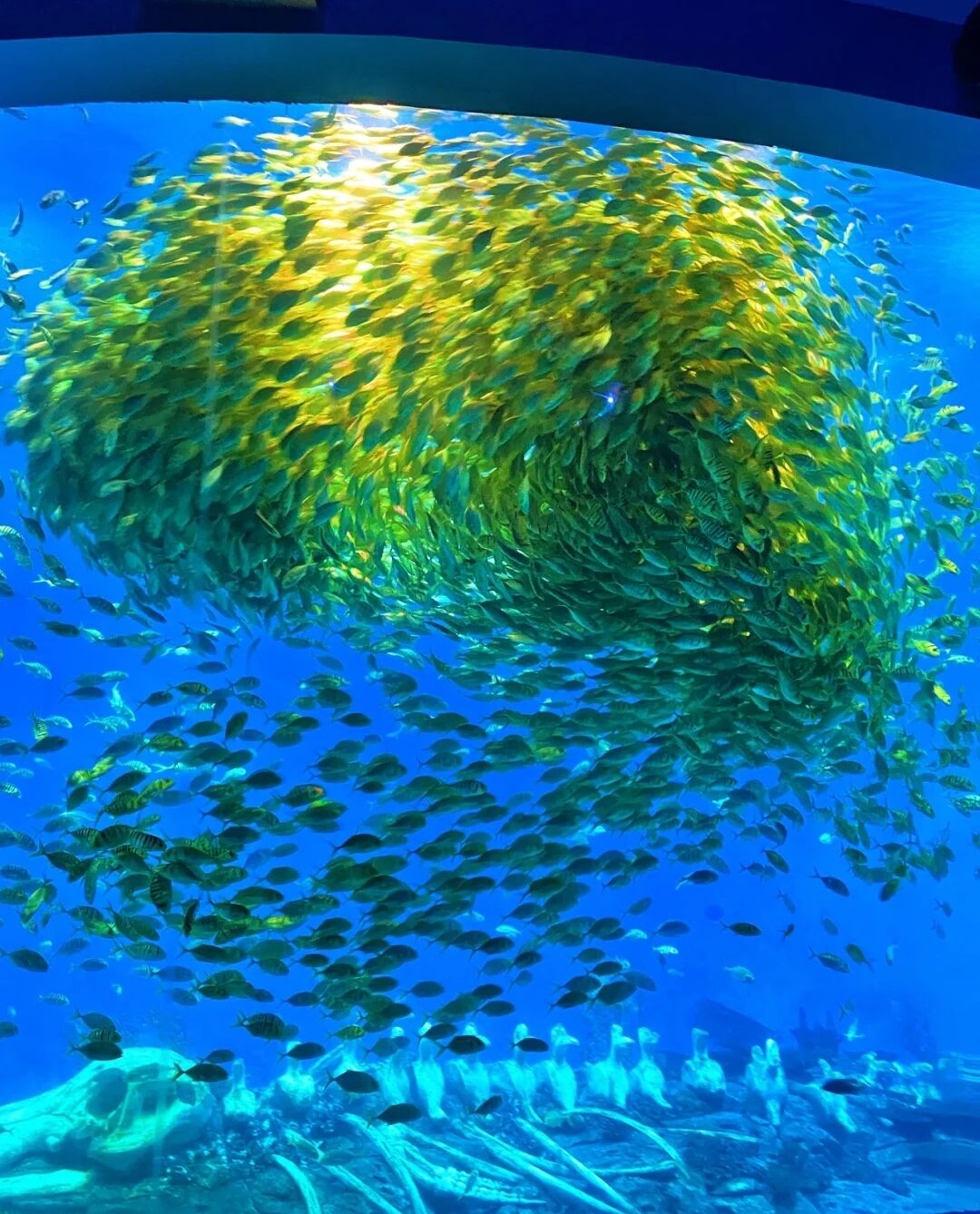 -6501a226eebc03db.jpg -6501a226eebc03db.jpg