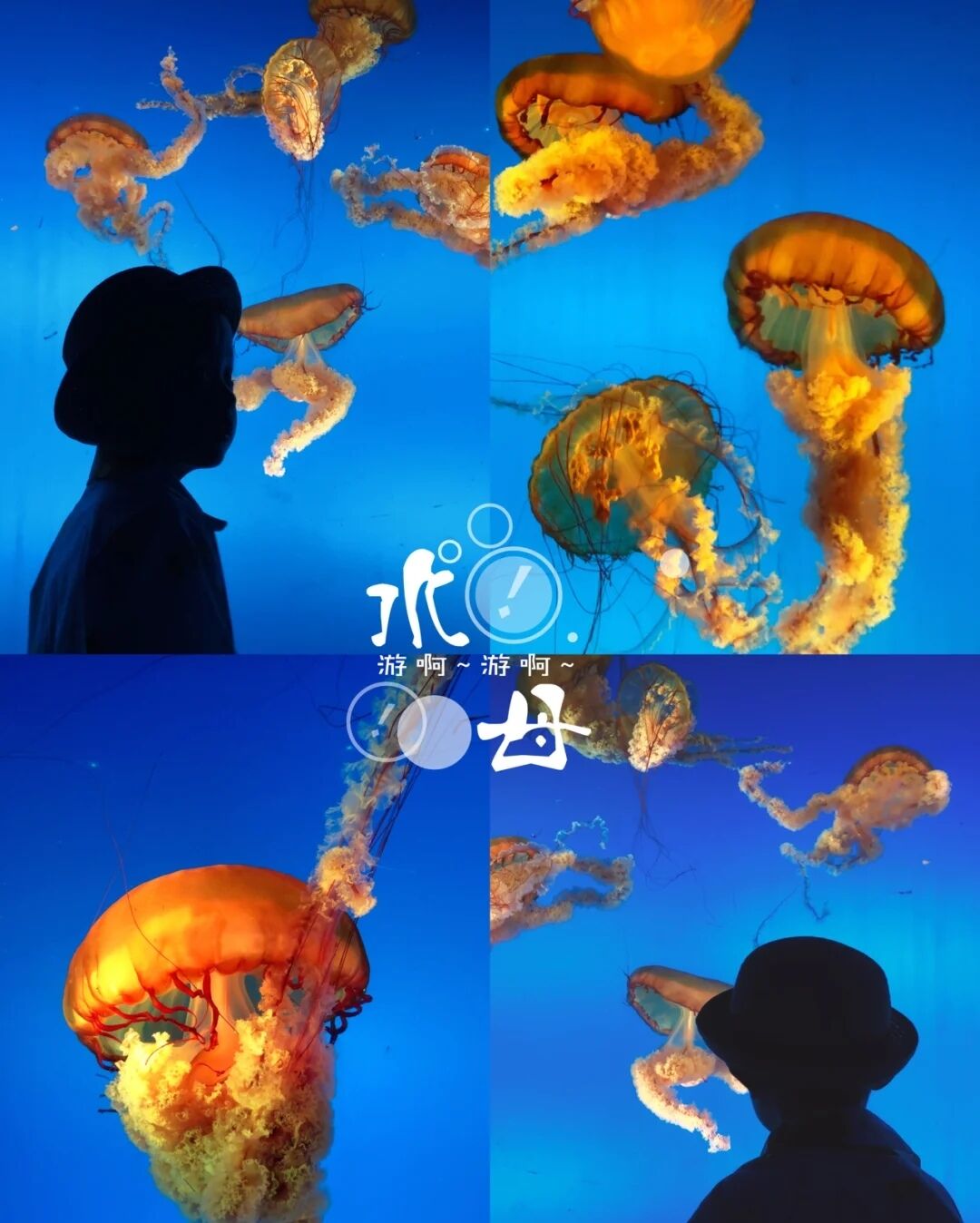 -3b6ee9a02becb2c0.jpg -3b6ee9a02becb2c0.jpg