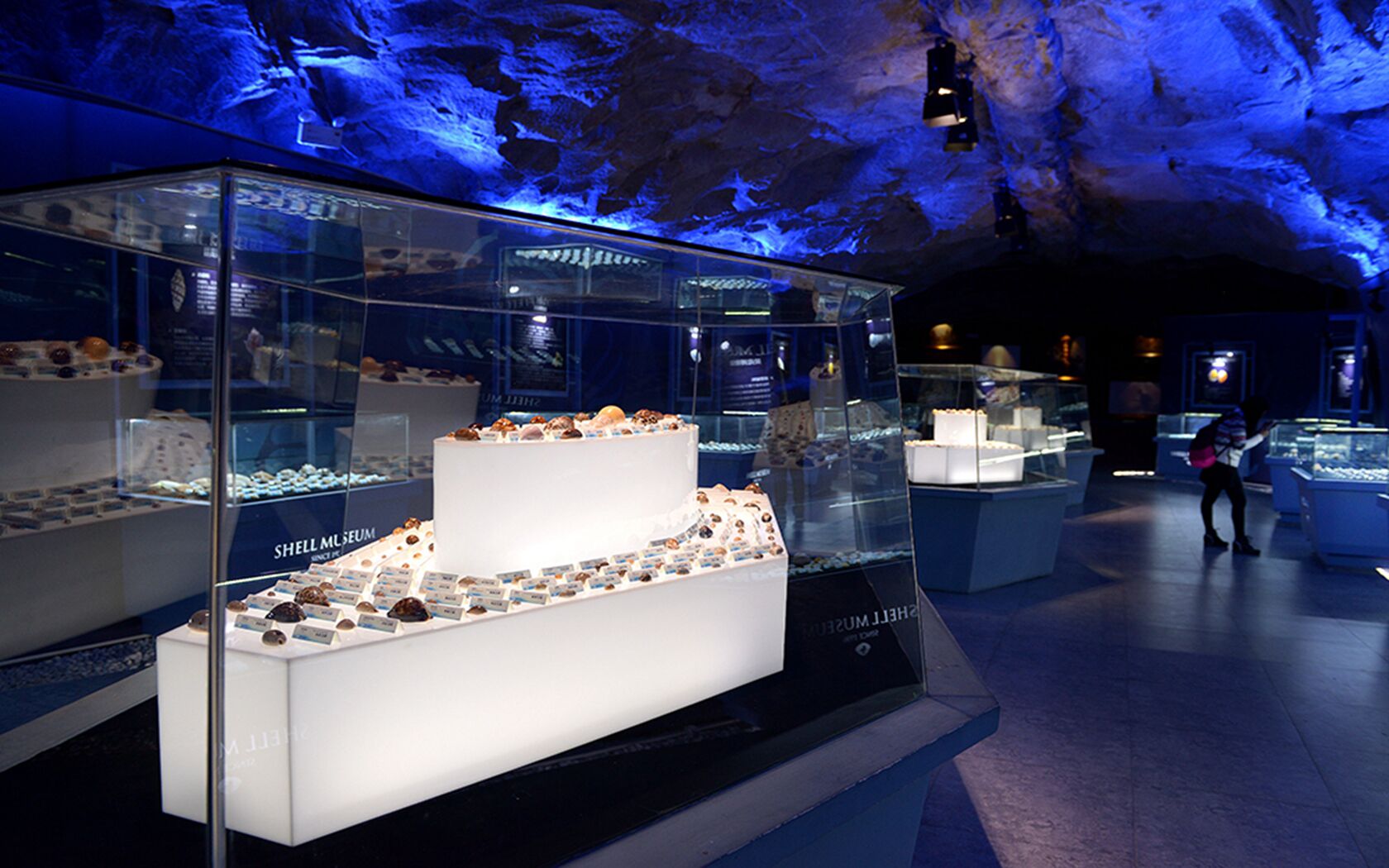 QQ图片20220602160701.jpg QQ图片20220602160701.jpg