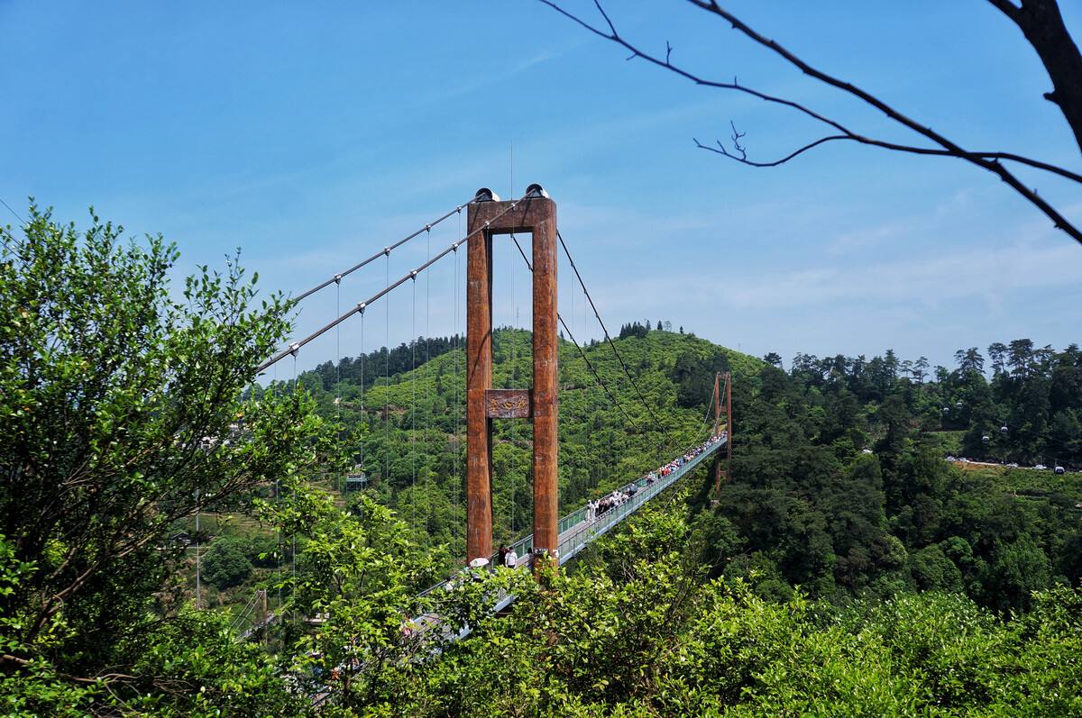 QQ图片20220602182635.jpg QQ图片20220602182635.jpg