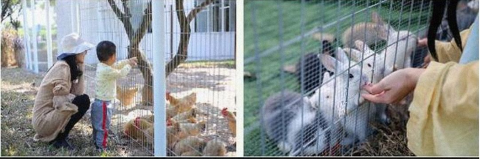 E3ADB76BE965411B9ACF68B91841D297.png E3ADB76BE965411B9ACF68B91841D297.png