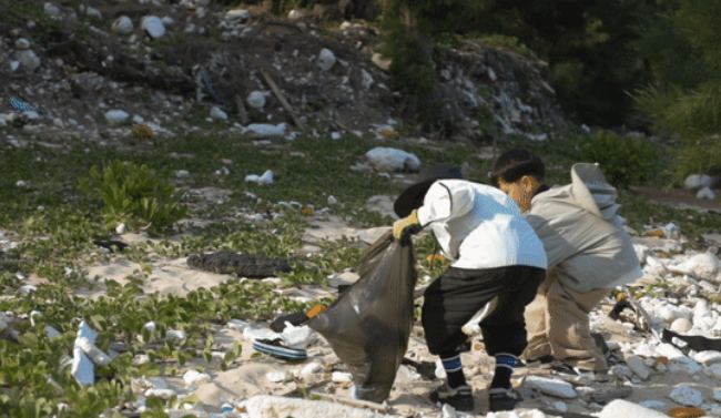 环境.png 环境.png