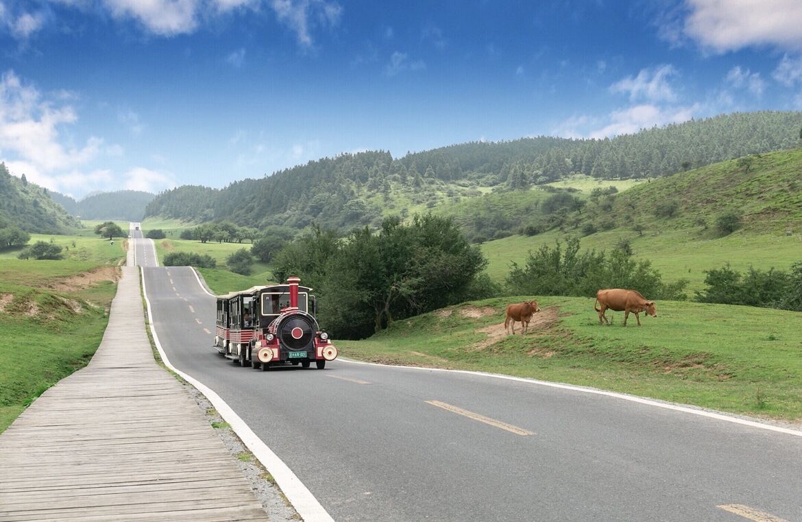 QQ图片20220607235119.jpg QQ图片20220607235119.jpg