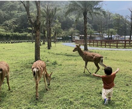 QQ图片20220609122135.jpg QQ图片20220609122135.jpg