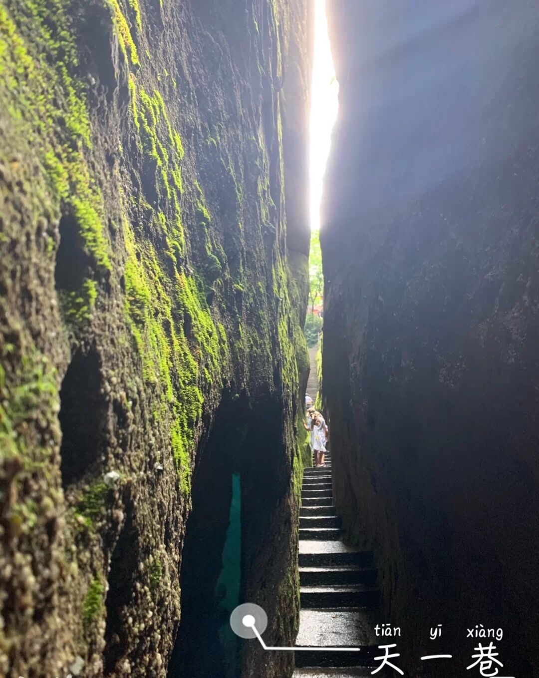 -1cd21ea498e88d2b.jpg -1cd21ea498e88d2b.jpg