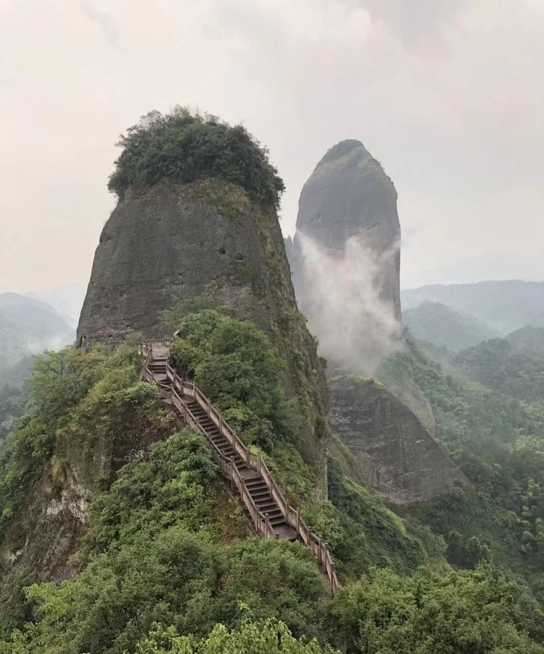 mmexport1655193342765.jpg mmexport1655193342765.jpg