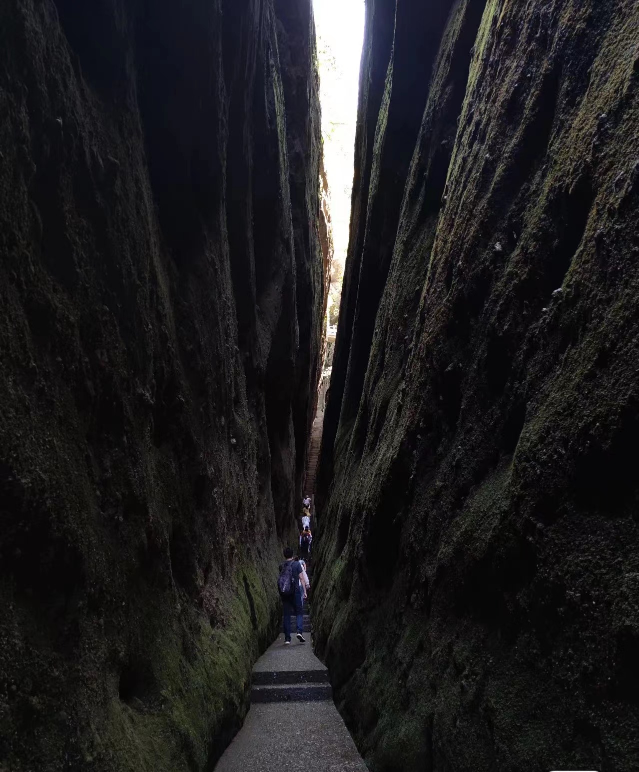 mmexport1655193615106.jpg mmexport1655193615106.jpg