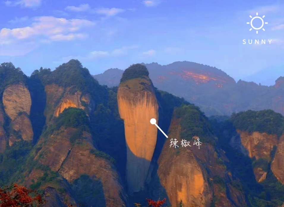 IMG_20220614_192903.jpg IMG_20220614_192903.jpg