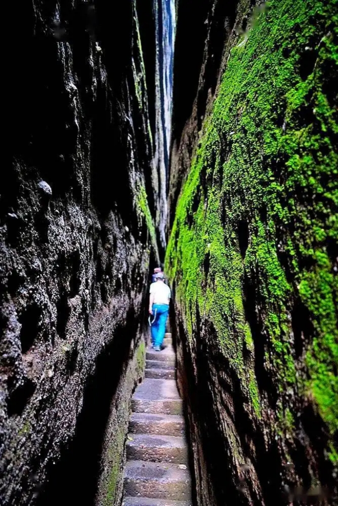 retouch_2022061501360976.jpg retouch_2022061501360976.jpg