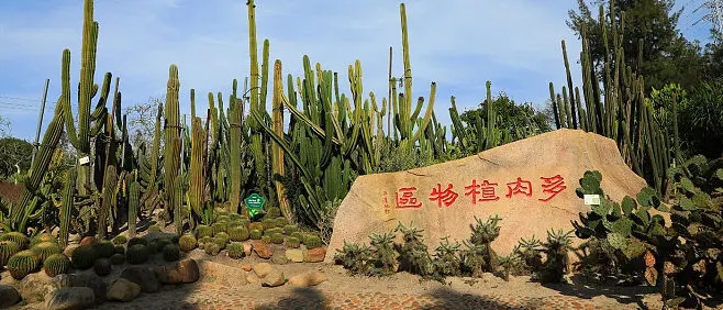 26a0607e8dc9f32b7890631ce6579d82bf76714c5228a-YWQZ1L_fw658.w 26a0607e8dc9f32b7890631ce6579d82bf76714c5228a-YWQZ1L_fw658.w